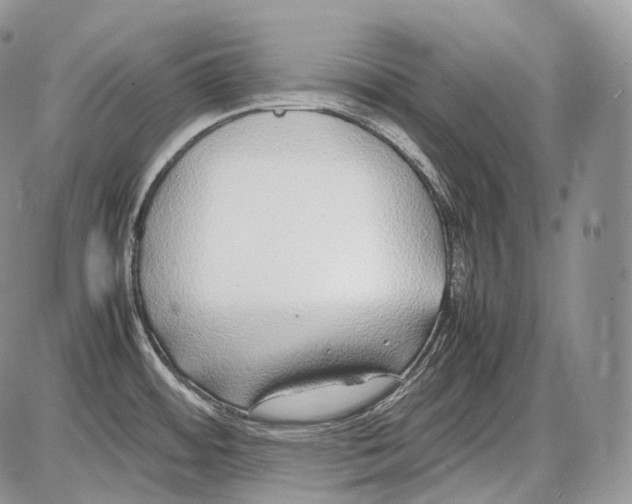 X0000086081484200704202139