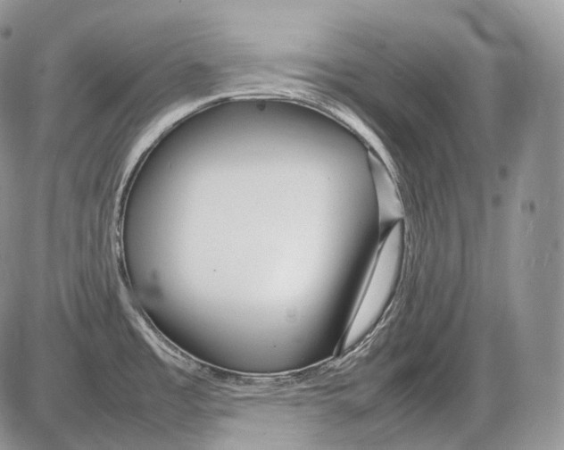 X0000086081485200704202139