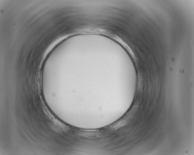 X0000086081486200704202139