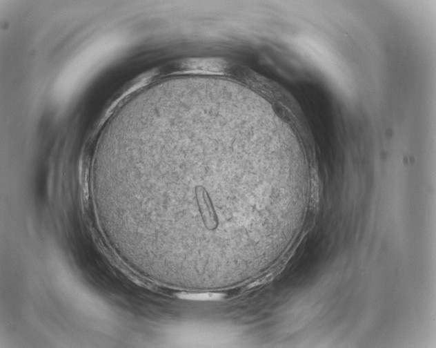 X0000086081487200704202139