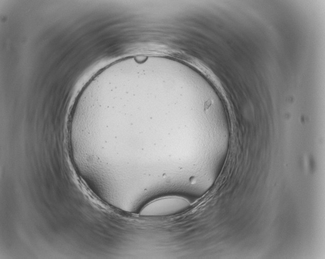 X0000086081488200704202139