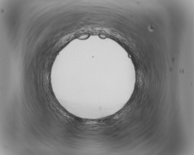 X0000086081489200704202138