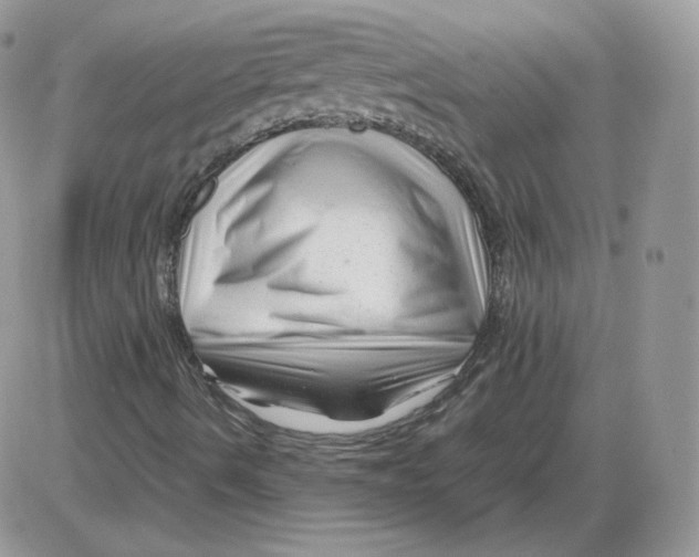 X0000086081490200704202138