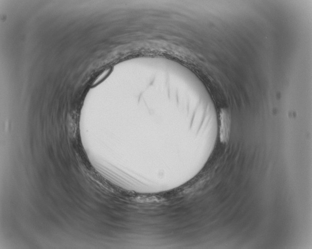 X0000086081491200704202138