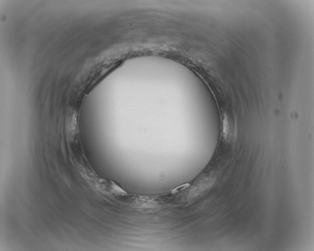 X0000086081492200704202138