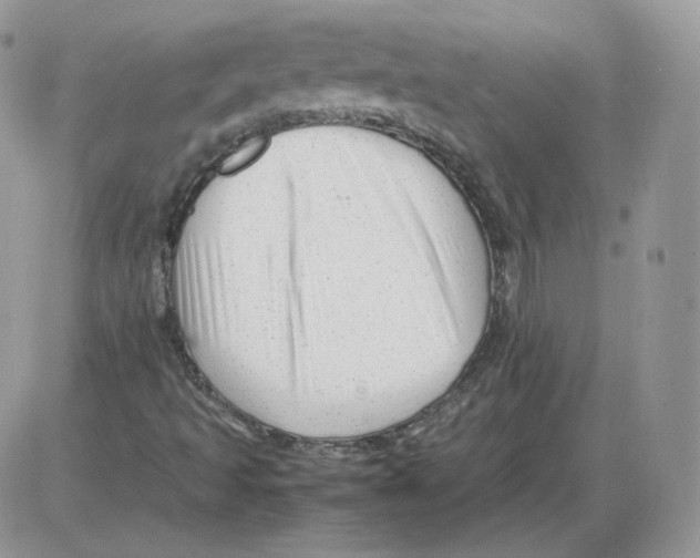 X0000086081493200704202138