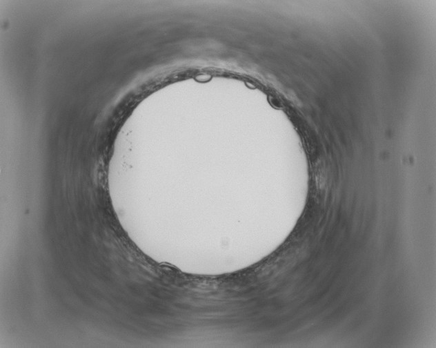 X0000086081495200704202138