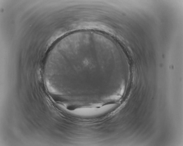 X0000086081497200704202138