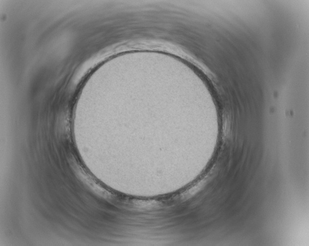 X0000086081498200704202138