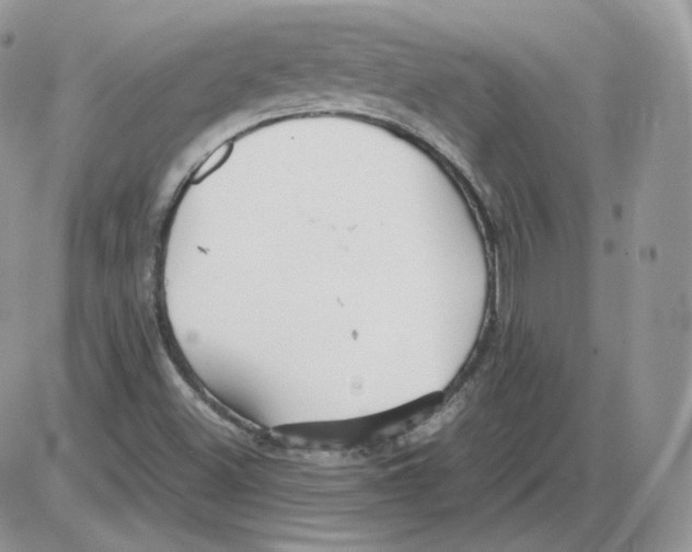 X0000086081500200704202138