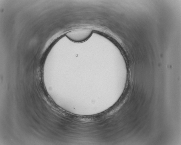 X0000086081501200704202138