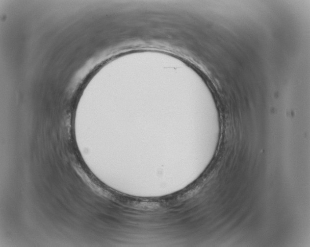 X0000086081503200704202138