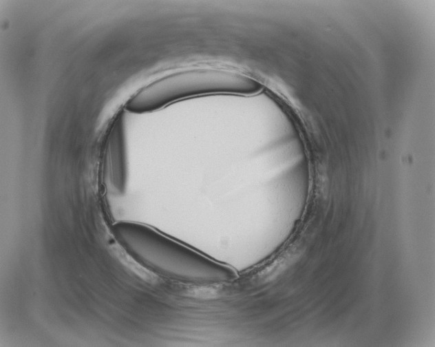 X0000086081504200704202138