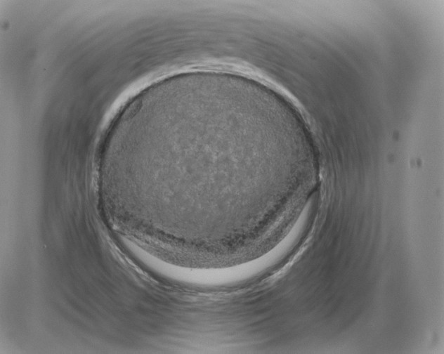 X0000086081506200704202138