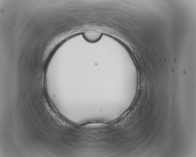 X0000086081507200704202138