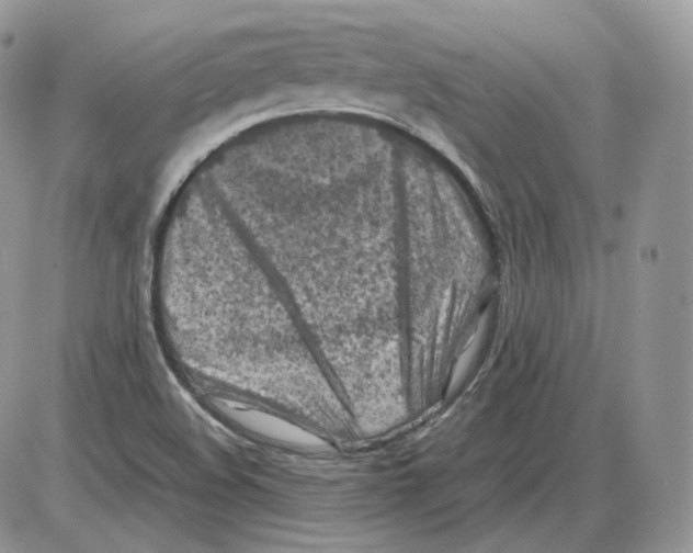 X0000086081508200704202138