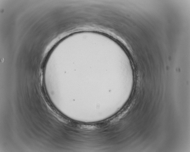 X0000086081509200704202138