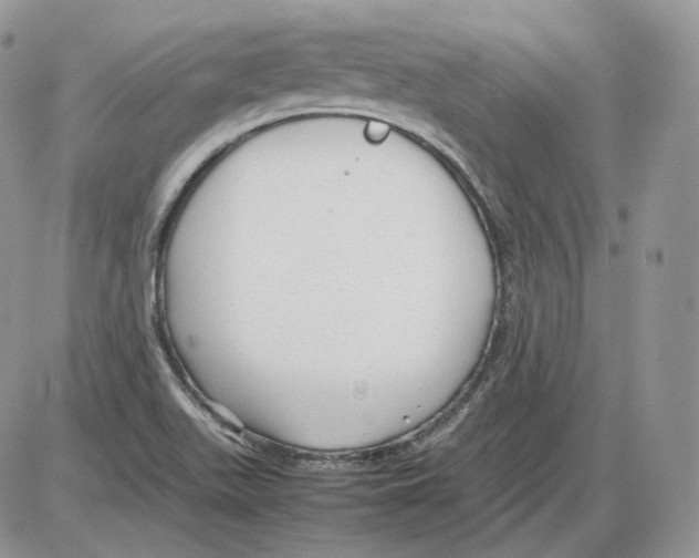 X0000086081511200704202138