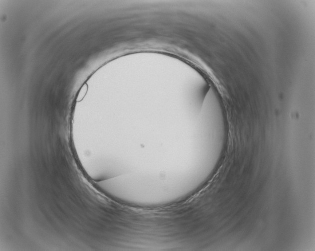 X0000086081512200704202138