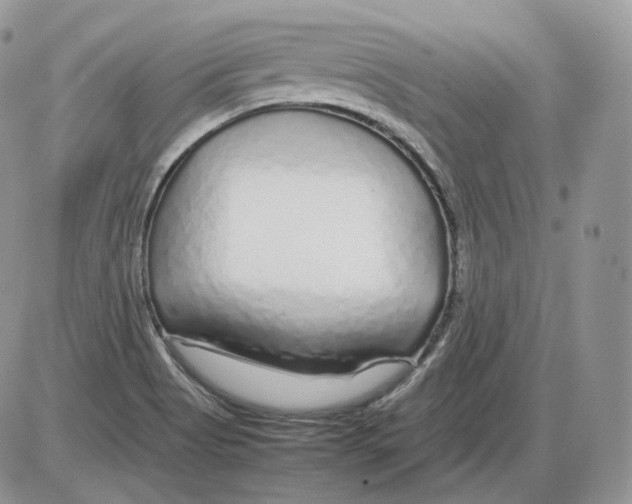 X0000086081513200704202138