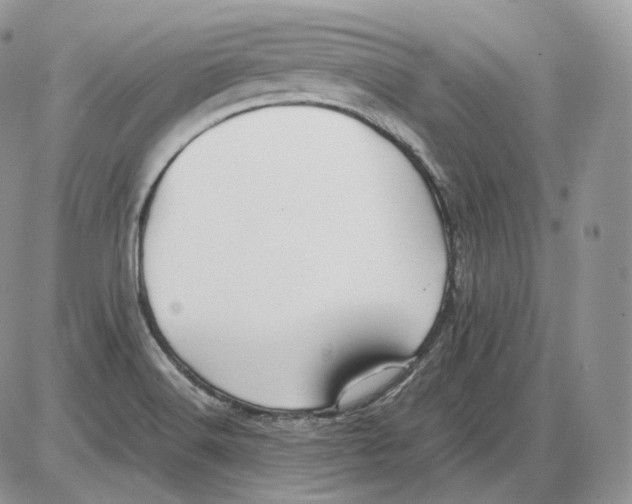 X0000086081516200704202138