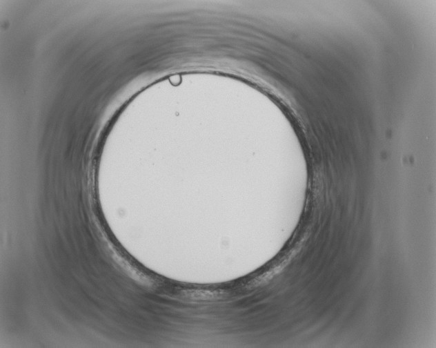 X0000086081517200704202138