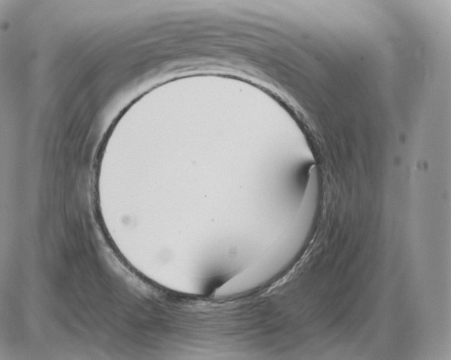 X0000086081518200704202138