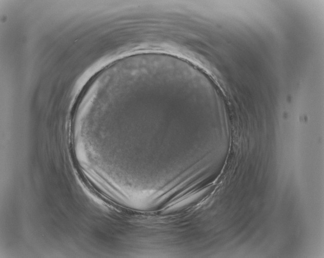 X0000086081519200704202138