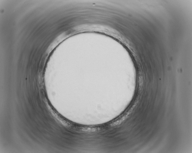 X0000086081521200704202138