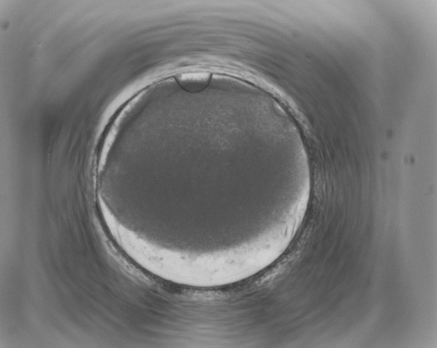 X0000086081522200704202138