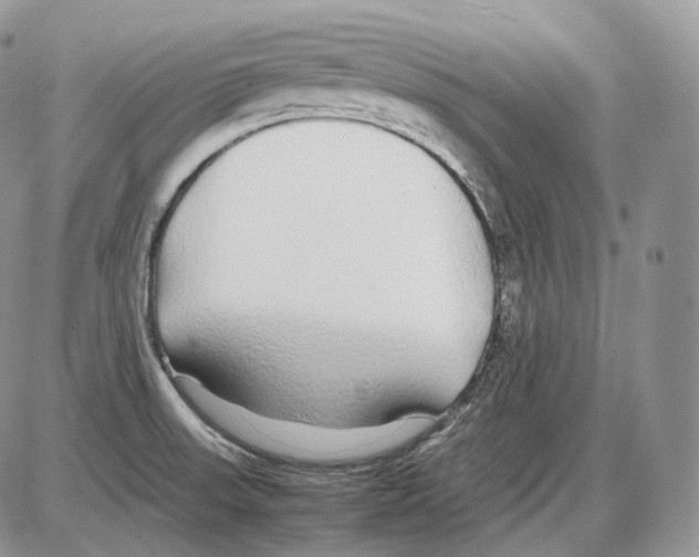 X0000086081523200704202138