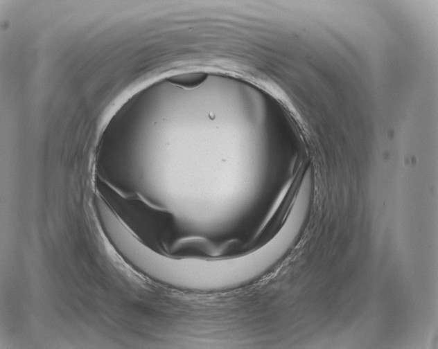 X0000086081524200704202138