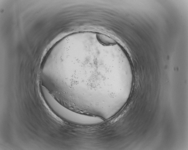 X0000086081525200704202138