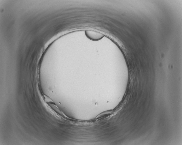 X0000086081526200704202138