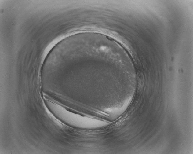 X0000086081527200704202138