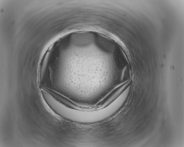 X0000086081528200704202138