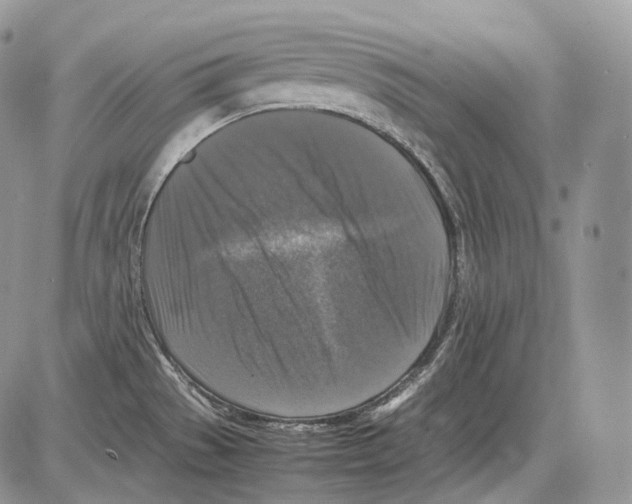 X0000086081529200704202138