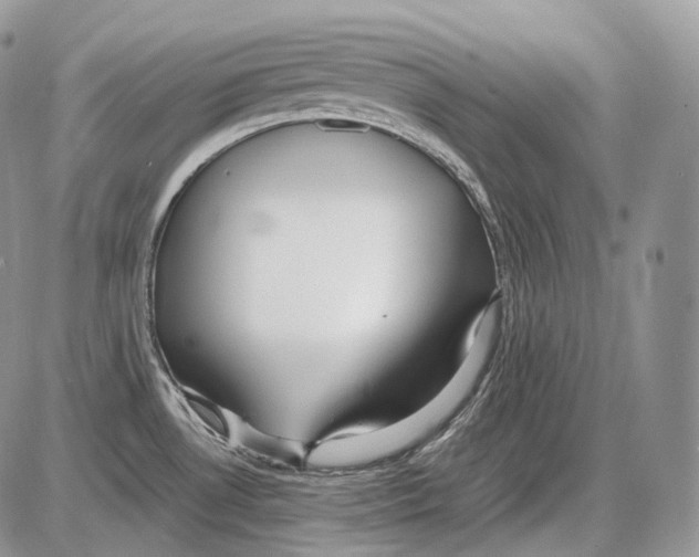 X0000086081530200704202138