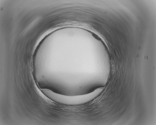 X0000086081531200704202138