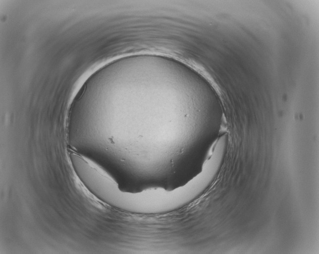 X0000086081532200704202138