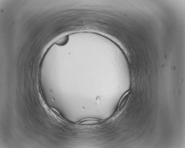 X0000086081534200704202138