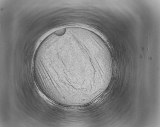 X0000086081535200704202138