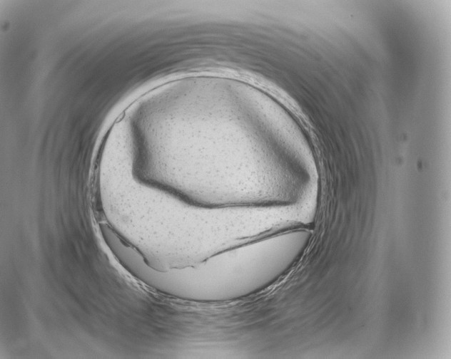 X0000086081536200704202139