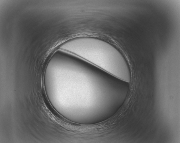 X0000086090011200703231128