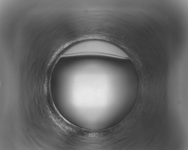 X0000086090064200703231127