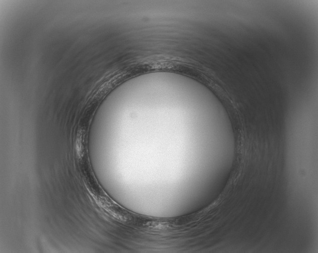 X0000086090074200703231127