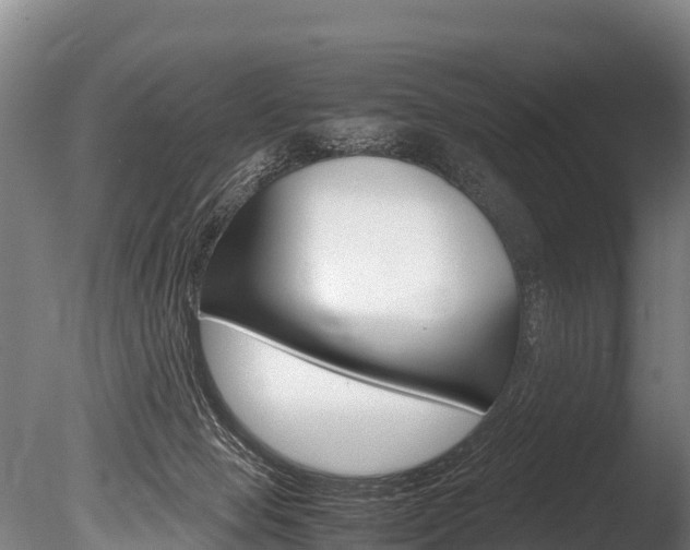 X0000086090077200703231127