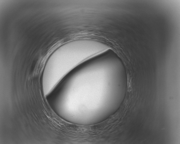 X0000086090099200703231127