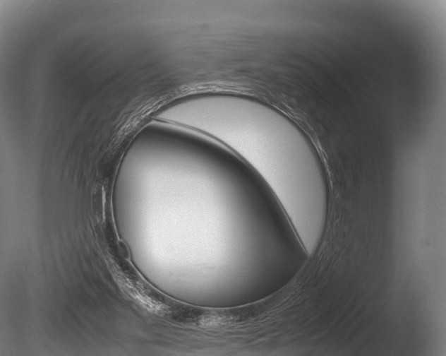 X0000086090109200703231127