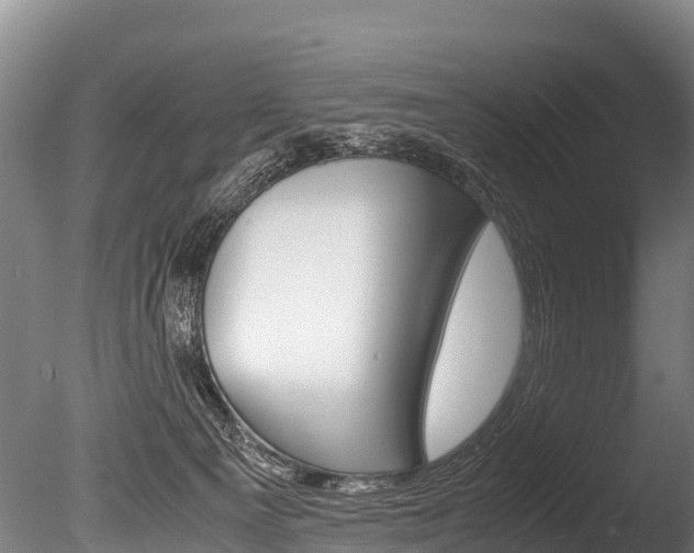 X0000086090129200703231126